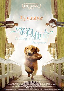 日本19禁综艺直接啪啪