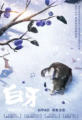 91短视频版在线观看免费大全