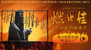 一夜七次郎在线视频