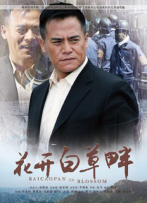 我岳母不一般