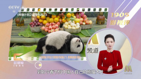午夜国产羞羞视频免费网站